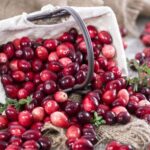 żurawina liofilizowana